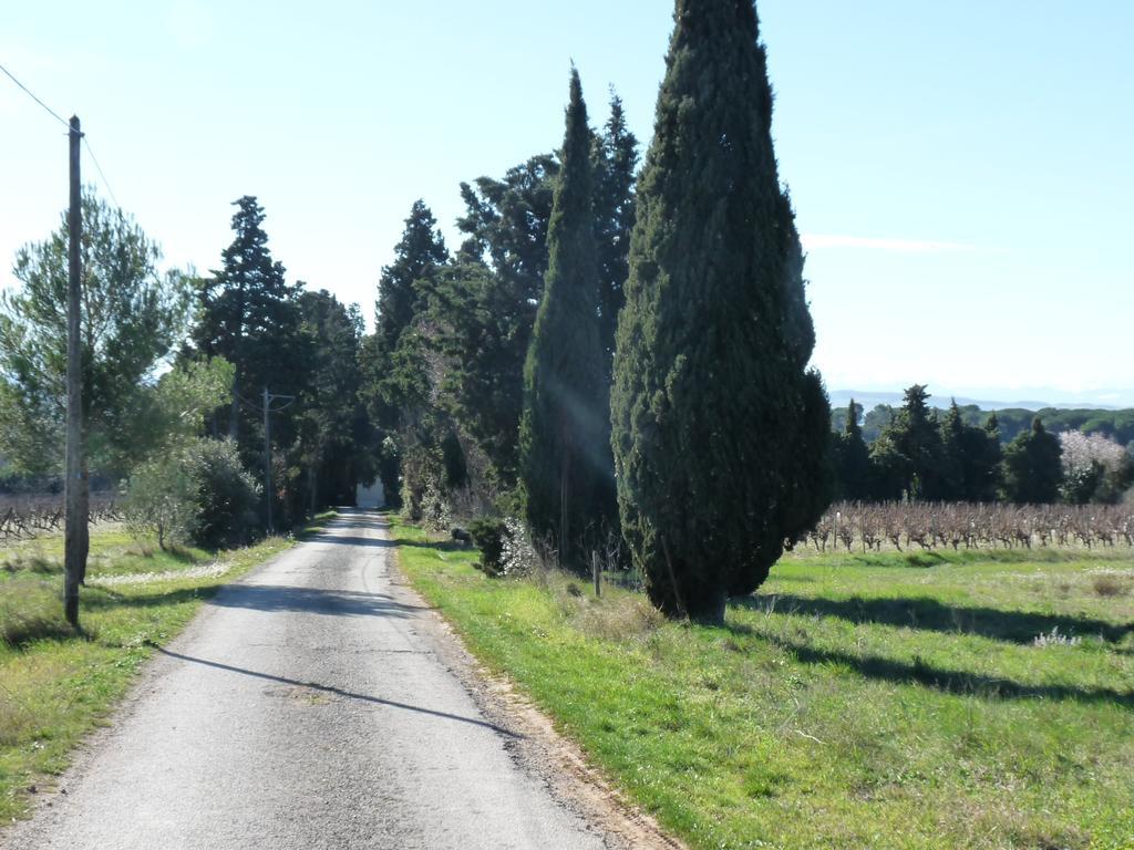 Chateau La Bouriette Moussoulens Екстериор снимка